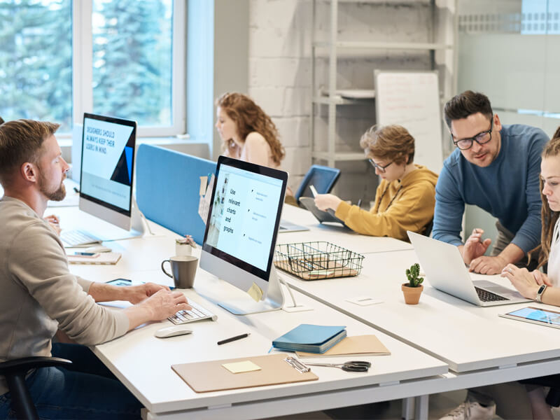 Web App Development